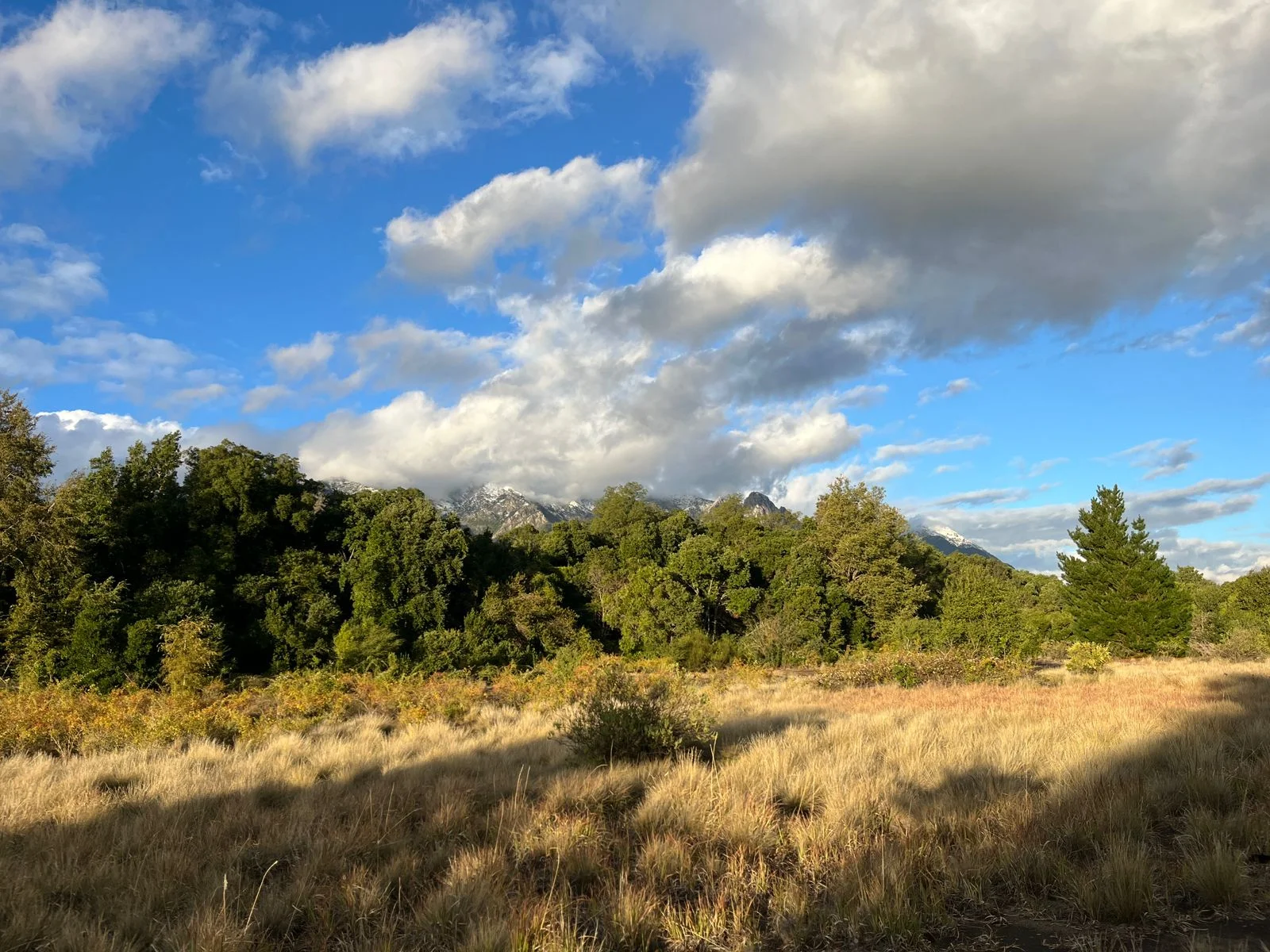 Una de las hermosas vistas de la parcela Las Pilcas